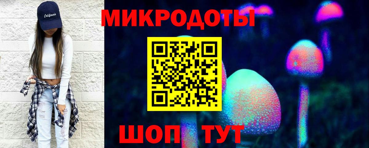 Чапаевск  что такое   Вход с VPN  Галлюциногенные грибы Psilocybine cubensis 