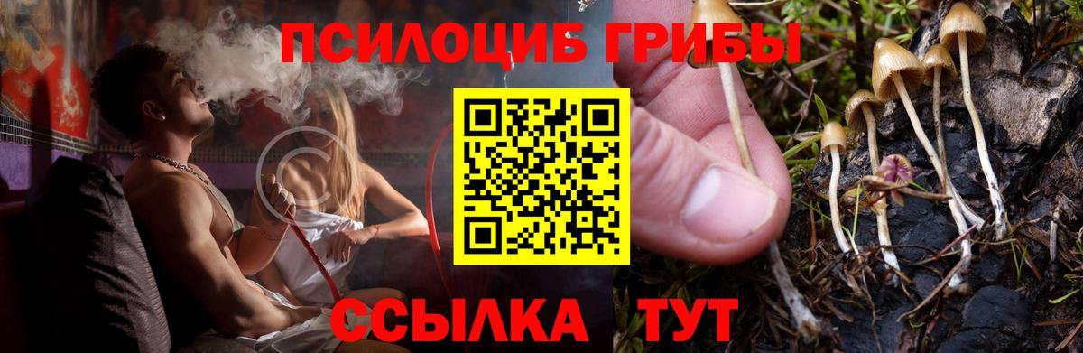 Псилоцибиновые грибы MAGIC MUSHROOMS Чапаевск